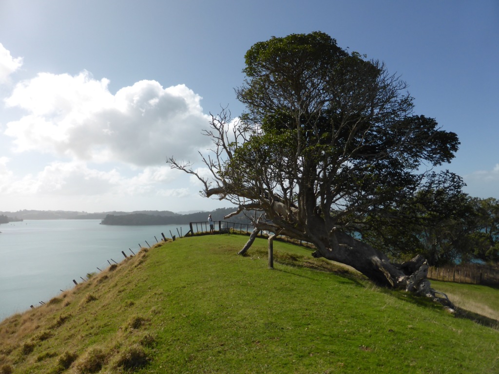 accommodation north of Auckland