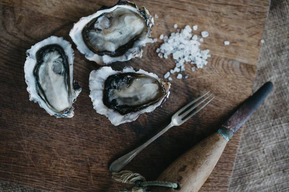 What to do from our B&B? – Mahurangi Oysters Tours